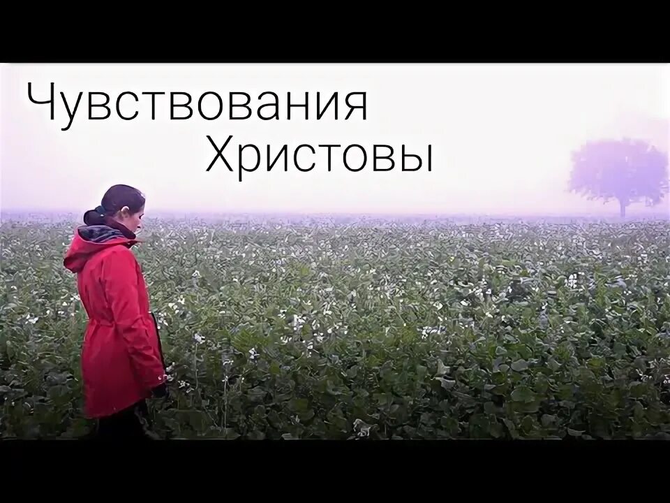 Чувствования христа. Он, будучи образом божиим, не почитал хищением быть равным богу;. Карло дольчи гефсиманский сад. В чем идея иисуса. Чувствования христа.