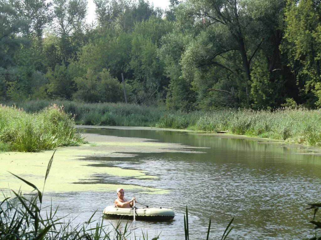 Река сестра московская