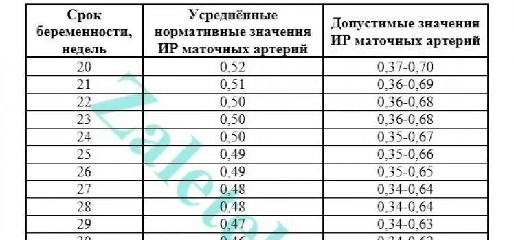 Средний пи маточных артерий. Допплерометрия артерии пуповины норма. пи в артерии пуповины норма. пи в маточных артериях норма. кровоток в маточных артериях норма.