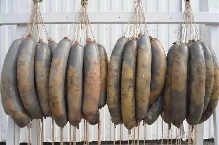 Казы из конины. Узбекская колбаса из конины. Узбекская колбаса из конины казы. Кази чучук. Казы узбекская.