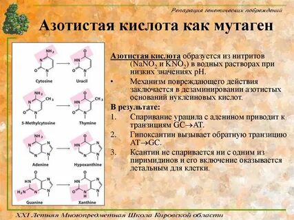 Мета кислота