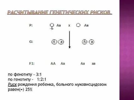 Всегда ли по фенотипу можно определить генотип