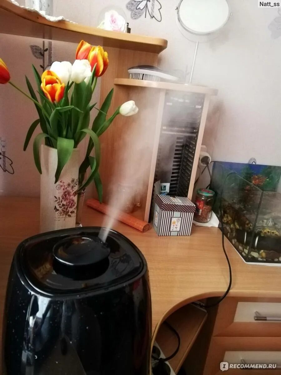 Где ставить увлажнитель воздуха в комнате. Увлажнитель sinbo sah 6115. увлажнитель в квартире. увлажнение воздуха без увлажнителя. способы увлажнения воздуха в квартире.