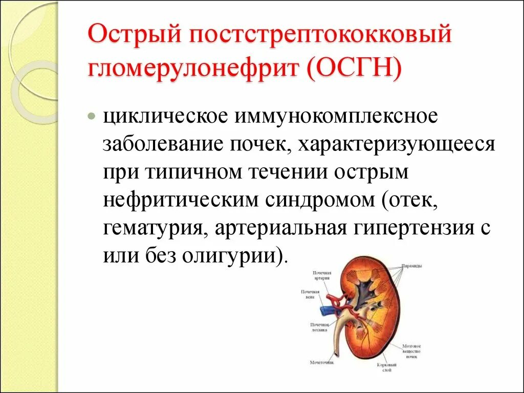 Заболевание почек гломерулонефрит. Патогенез постстрептококкового гломерулонефрита. Острый стрептококковый гломерулонефрит. Патогенез острого гломерулонефрита. Осложнения острого постстрептококкового гломерулонефрита.