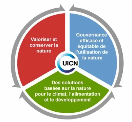 Conservation resources. Международный союз охраны природы. международный союз охраны природы (iucn). цели iucn. international union for conservation of nature and natural resources.