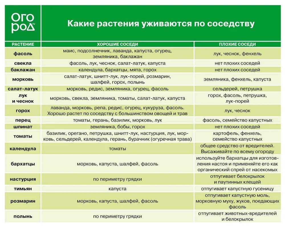 Тыква совместимость. Соседство растений на грядках в таблице. таблица смешанных посадок овощей на огороде таблица. совместимость растений на грядке. таблица совместимости растений на грядке.