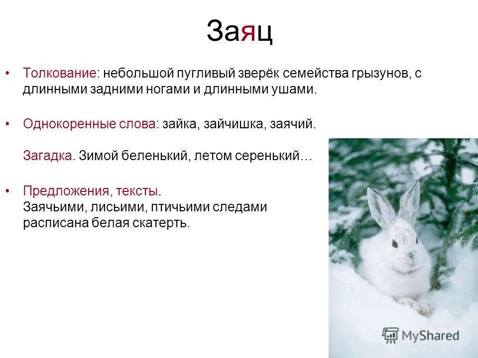 составить предложение со словом зайчонок. восстанови порядок слов в предложении. заяц комочек пуха, длинное ухо, прыгает ловко, любит морковку. предложение со словом заяц. предложение со словом заяц.