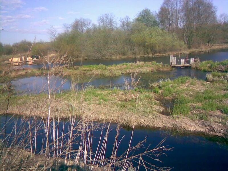Исток реки в болоте находится