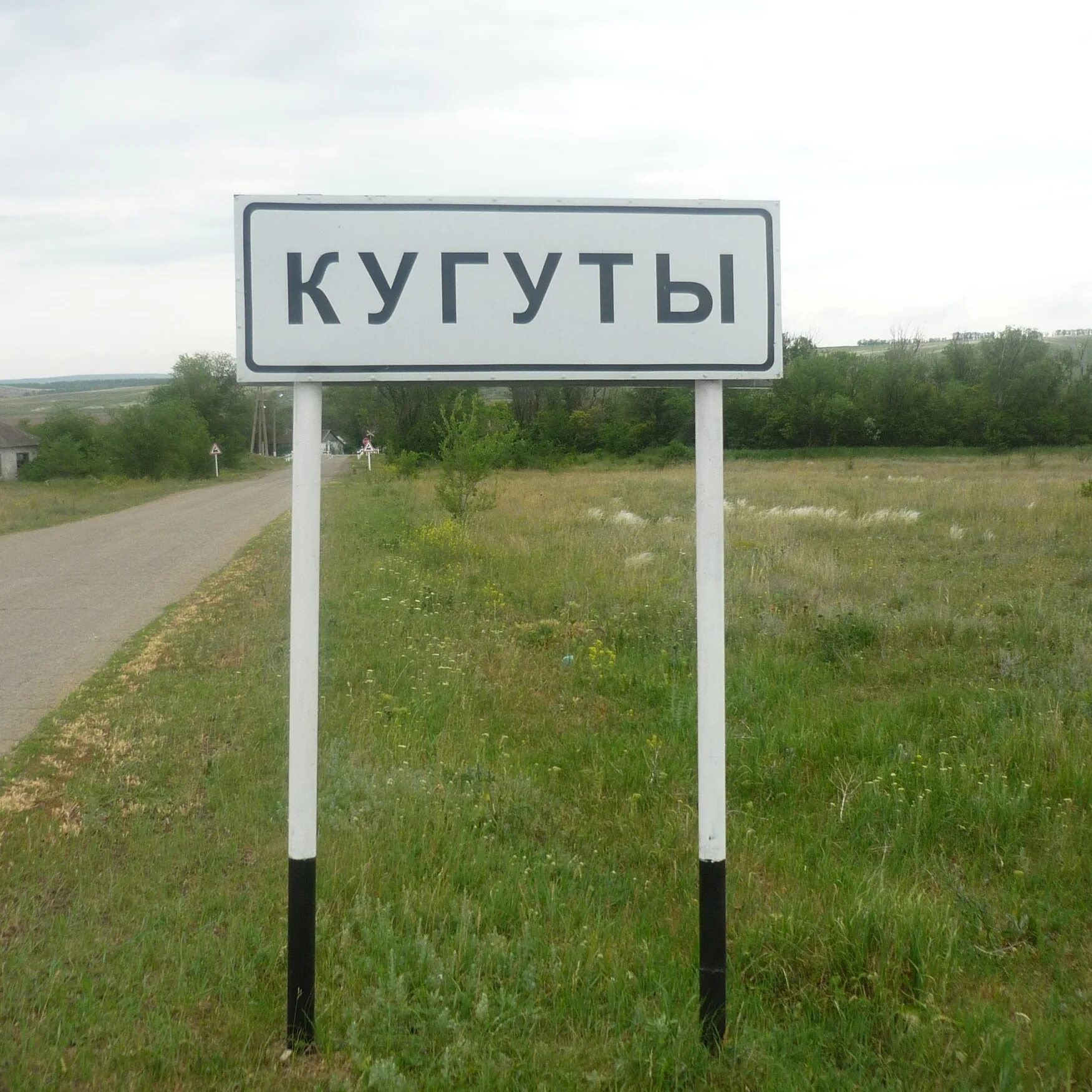 Кугуты. Кугуты. Кугут кто это. Река кугутка ставропольский край. Кугуты.
