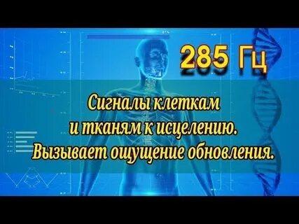Сольфеджио 285