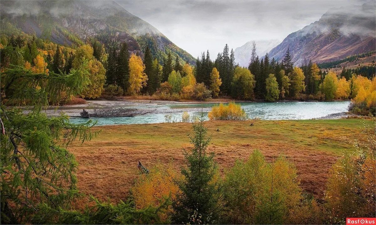 Тест природа сибири. Алтайский край горный Алтай. Золотая осень горный Алтай. Сибирь Алтайский край. Золотая осень горный Алтай Белокуриха.