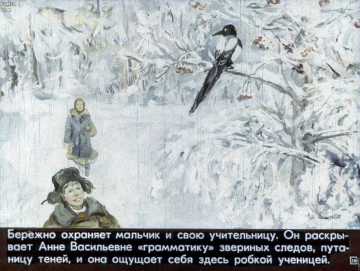Нагибин зимний дуб краткое содержание. Юрий нагибин зимний дуб. зимний дуб нагибин. ю нагибин зимний дуб. зимний дуб нагибин диафильм.