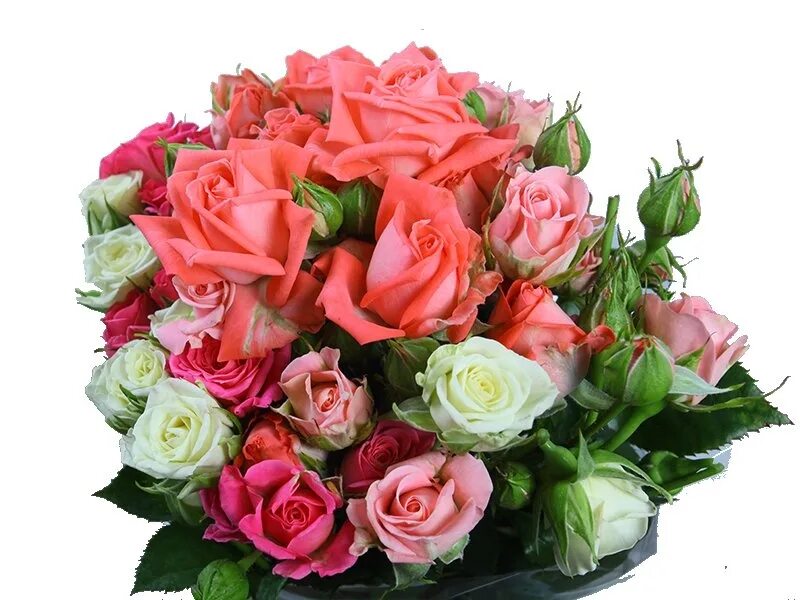 Цветочный магазин оранж. Элита фловерс ставрополь. Ок фловерс. Гранд-букет" (grand bouquet), режиссер нао йошигай. Букеты цветов ставрополь.