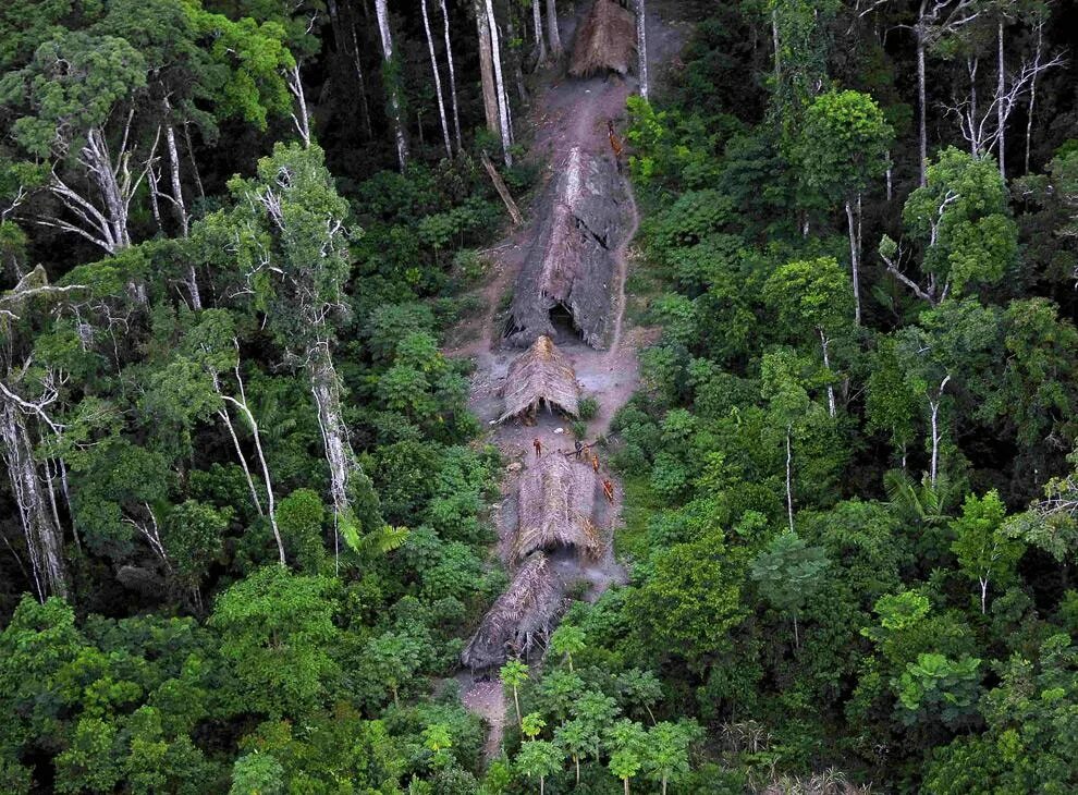 Долина Джавари Бразилия. Бразилия джунгли неконтактные племена. Северный Сентинельский остров. Джунгли Амазонии в Южной Америке.