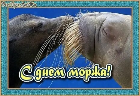 24 ноября хорошо