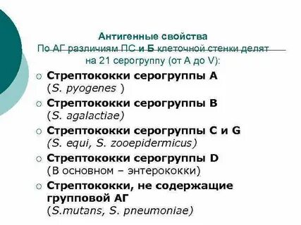 Стрептококк антиген