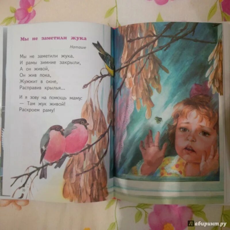 Агния барто мы не заметили жука. Стихи барто. Стихотворение барто мы не заметили жука. Мы не заметили жука. Стихотворение агнии барто.