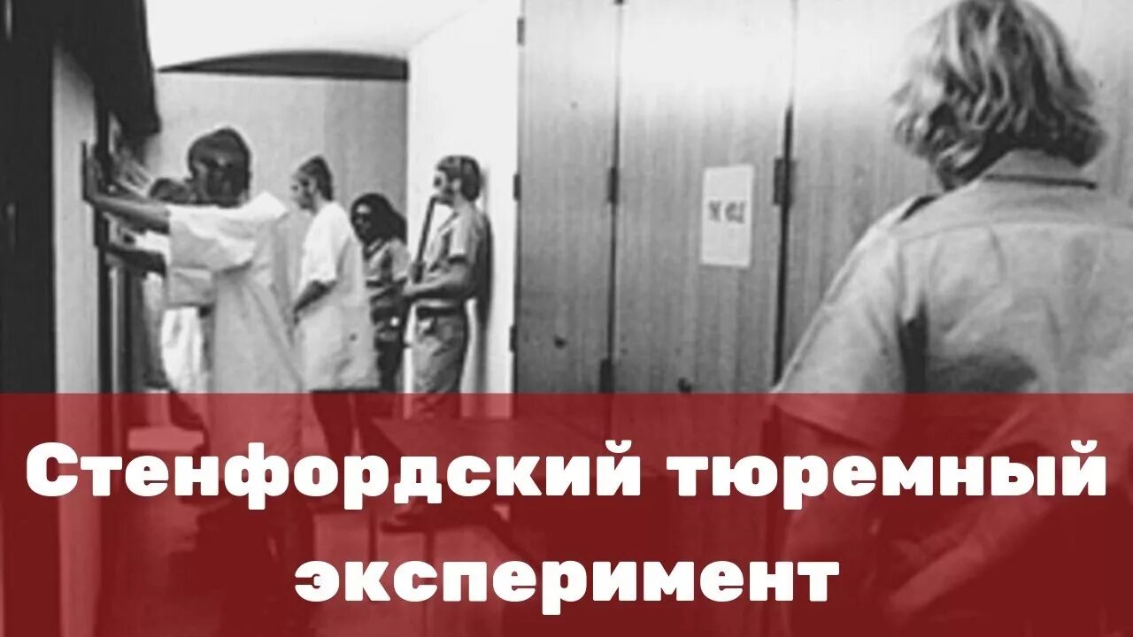 Эксперимент зимбардо. Доктор зимбардо эксперимент.