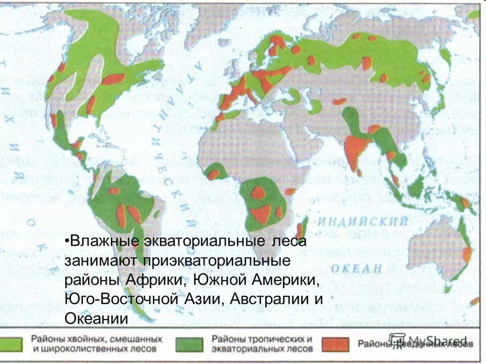 Географическое положение влажных лесов в австралии