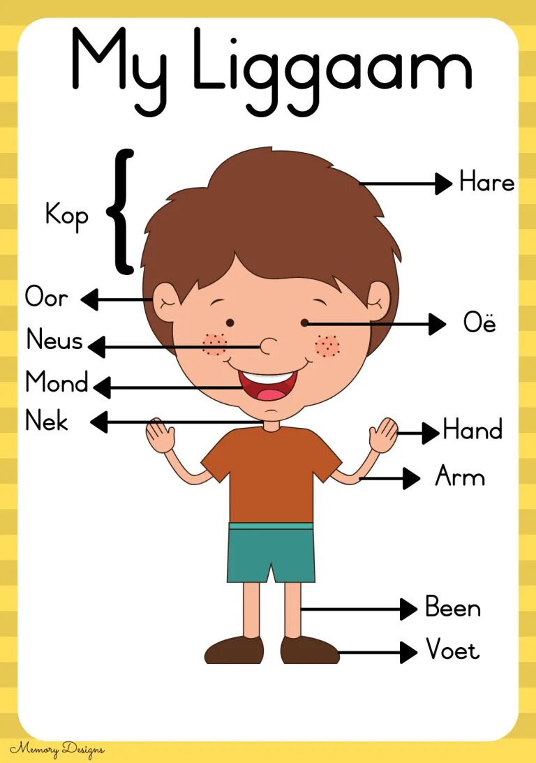 Nothing's wrong encanto. My body looking wrong. My body looking wrong. Тело человека на английском. Body parts for kids.