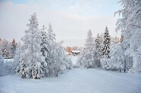 Январь 2011