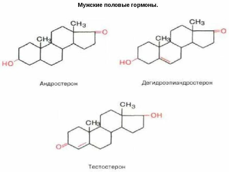 Тестостерон отпускаю. Гормоны строение формула. Структура гормонов биохимия. Формулы гормонов биохимия. Мужские половые гормоны формулы.