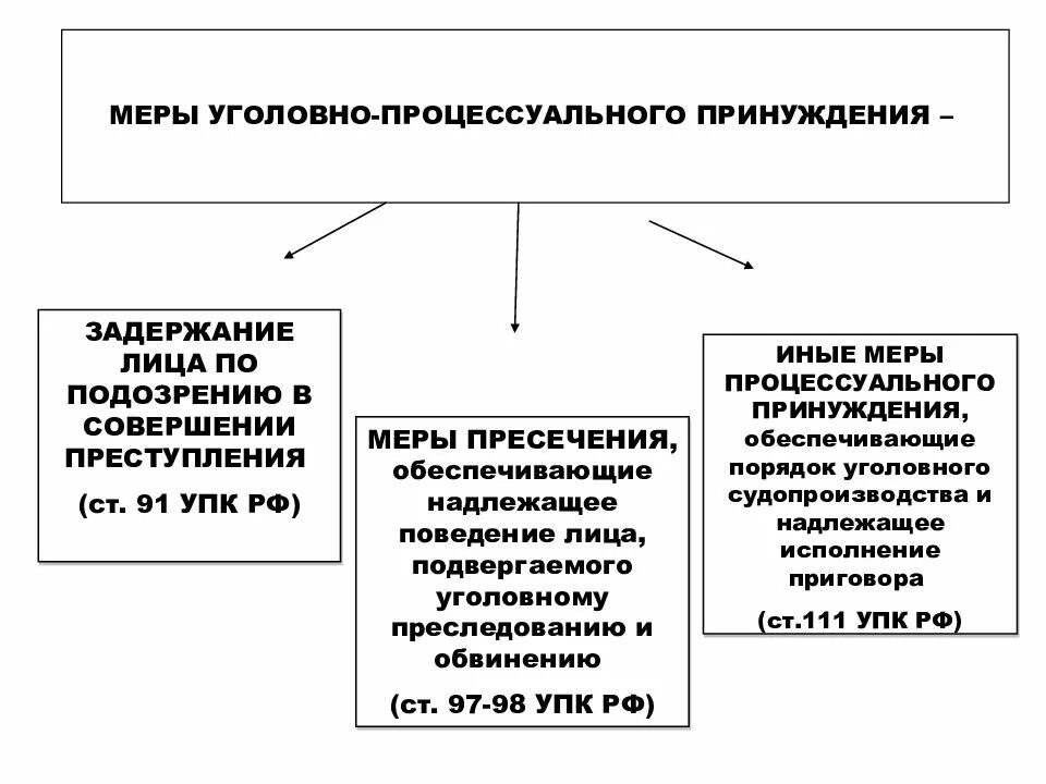 Надлежащий в гражданском праве. Меры уголовно-процессуального принуждения УПК классификация. Меры процессуального принуждения в уголовном процессе. Меры государственного принуждения Уголовный процесс. Меры пресечения и меры принуждения в уголовном процессе.