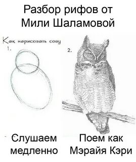 Нарисовать сову 2 класс литературное чтение