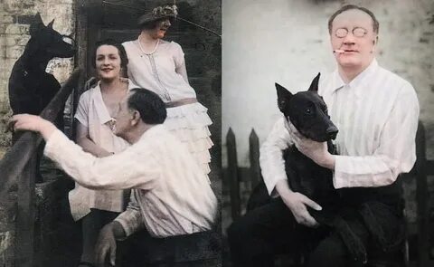 Есенин дай лапу