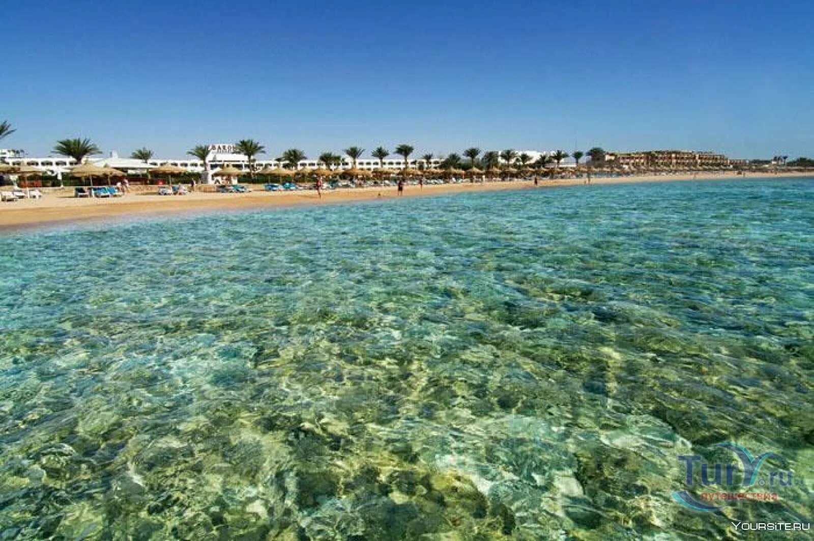 Риф шарм-эль-шейх. Шарм-эль-шейх. Шарм-эш-шейх море. Шарман шейх море. Шармаль шейх море.