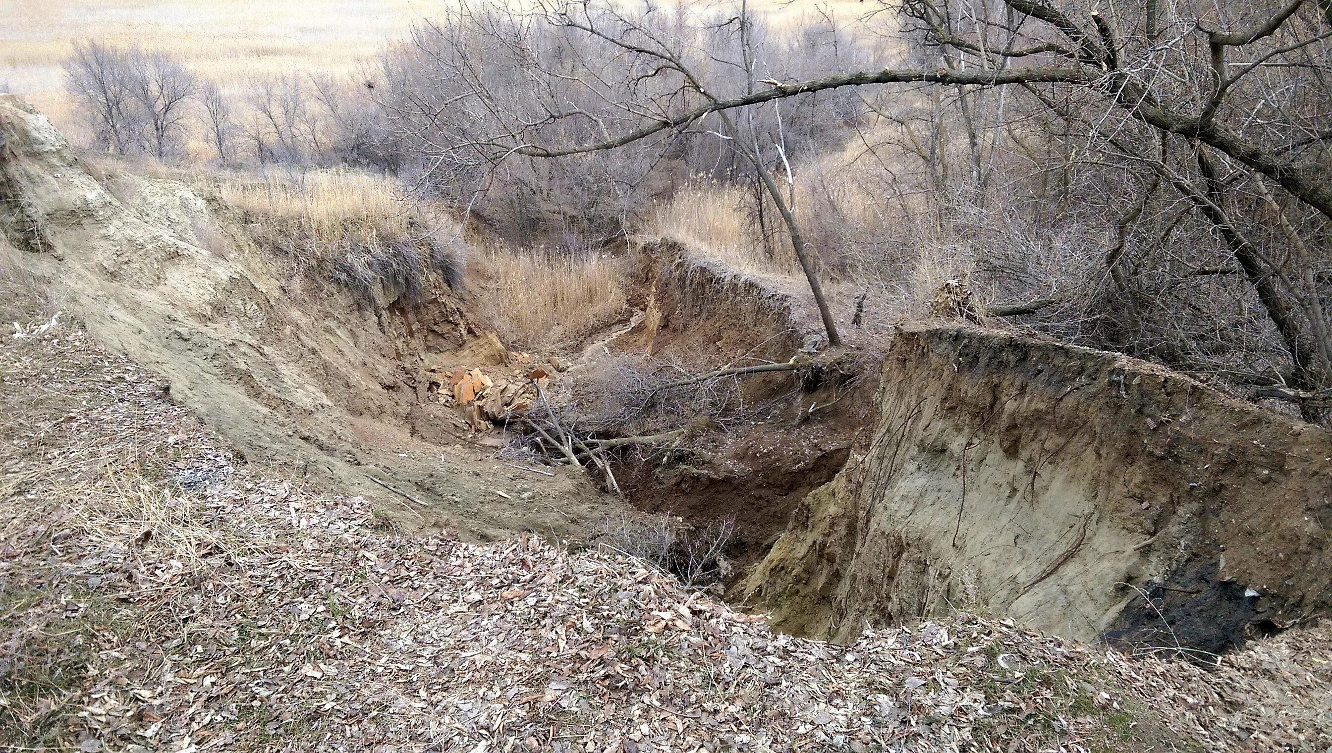 в овраге чехов иллюстрации. в овраге герой. в овраге герой. в овраге чехов иллюстрации. глубокий овраг.