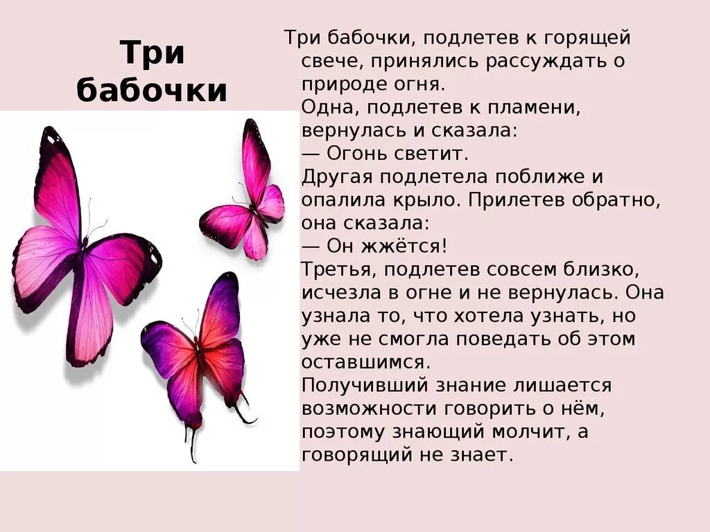 Текст три бабочки