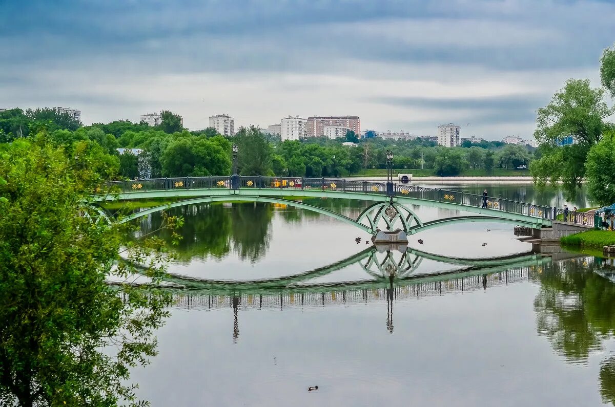 Царицыно шипиловская. Царицыно музей-заповедник пруд. Царицынский парк пруды. Царицынские пруды Царицыно. Царицыно средний пруд.