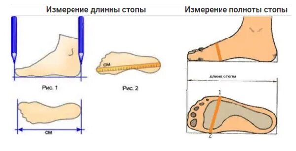 Как определить полноту стопы для обуви. Полнота стопы. Ширина стопы. Измерение полноты стопы. Как измерить полноту стопы.