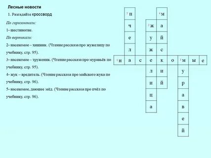 Кроссворд насекомые 7