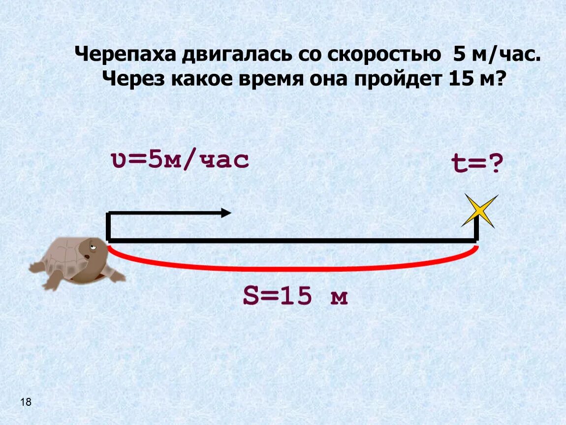 Черепаха за первую минуту проползла 4.7 м. Черепаха движется со скоростью. Максимальная скорость черепахи. Скорость черепахи в километрах в час. Скорость движения черепахи.