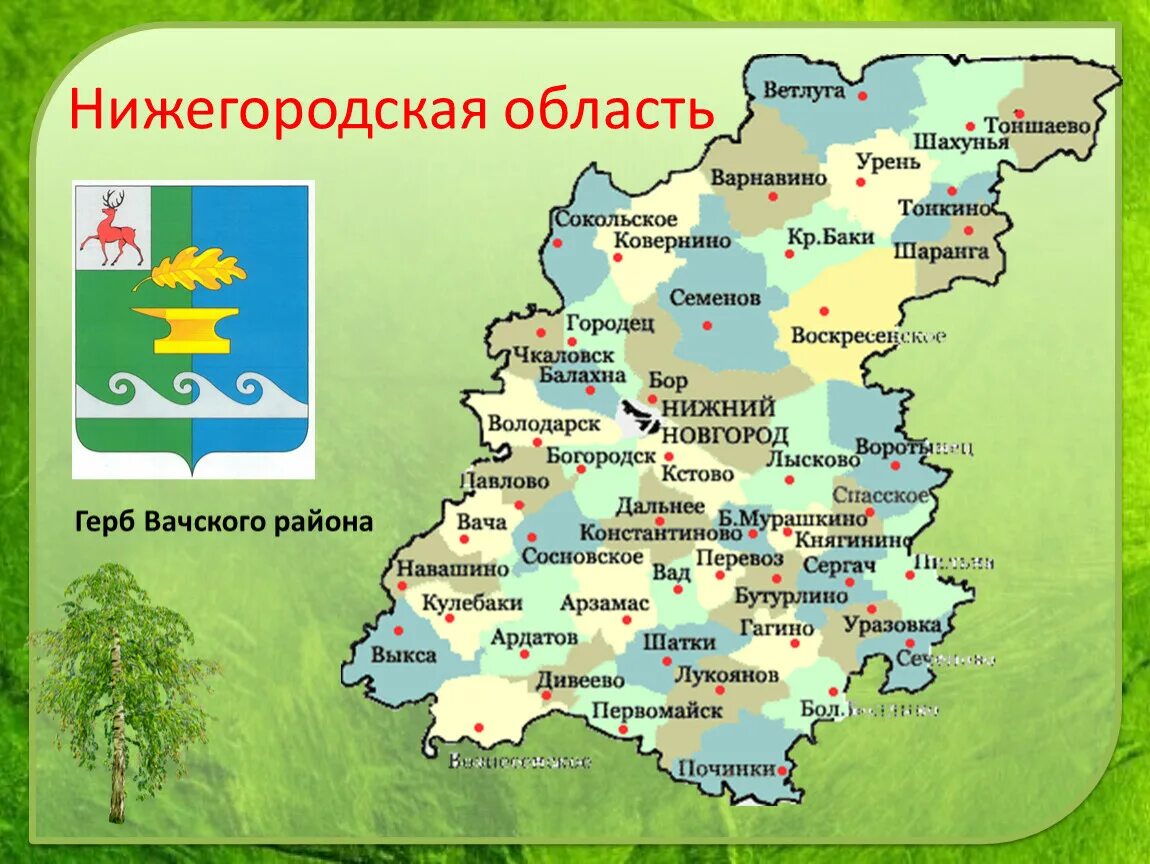 Какой нижегородская область. Герб Вача Нижегородская область. Карта Нижегородской области с городами и поселками. Герб Вачского района Нижегородской области. Нижегородская обл карта районов.