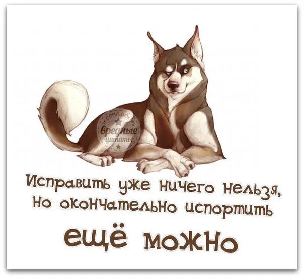 Мне ничего не нужно я хочу. Вредные цитаты. Это твои проблемы картинки. Всё можно исправить.