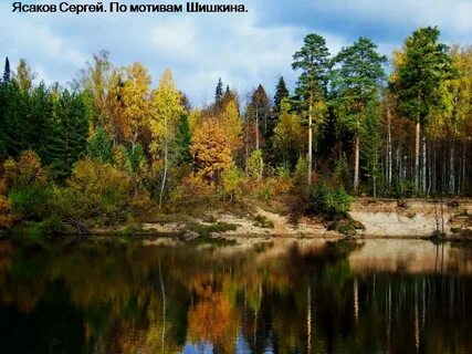 Родной лес