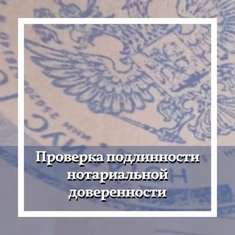 Проверить нотариуса на подлинность. Проверка нотариальной доверенности на подлинность. Федеральная нотариальная палата. Герб нотариальной палаты. Символы нотариата и нотариальных палат.