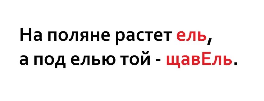 Как правильно щавель или щавель ударение