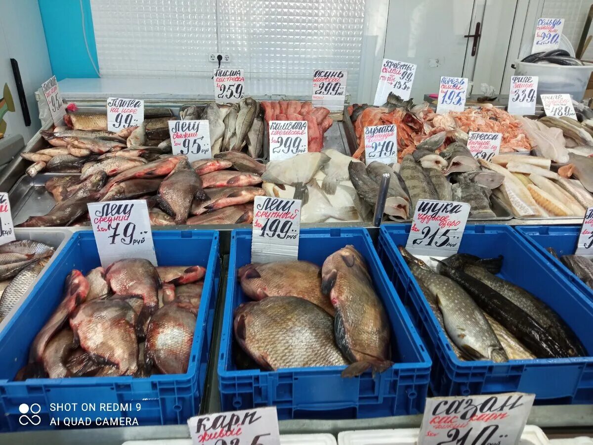 Где можно купить краснодар. Сенной рынок Краснодар рыба. Самая дешевая рыба в магазине. Сенной рынок Краснодар рыбный отдел. Самая дешевая рыба.