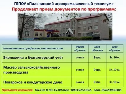 Сайт пильнинский техникум