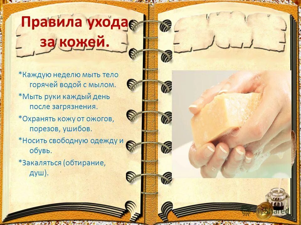 правила как ухаживать за кожей 3 класс. памятка уход за кожей. памятка уход за кожей. гигиена. памятка правила ухода за кожей.