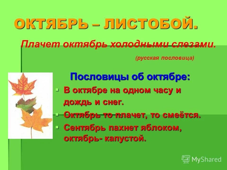 7 октября текст. Пословицы про октябрь. Пословицы и поговорки про октябрь. Пословицы протоктябрь. Пословицы про октябрь для детей.