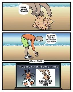 Ракушка пикабу