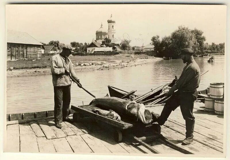 Ловля веки. Астрахань рыбный промысел 19 век. Астраханское рыболовство 19 век. Астраханские рыбаки 19 век. Рыбный промысел в Астраханской 19 века.