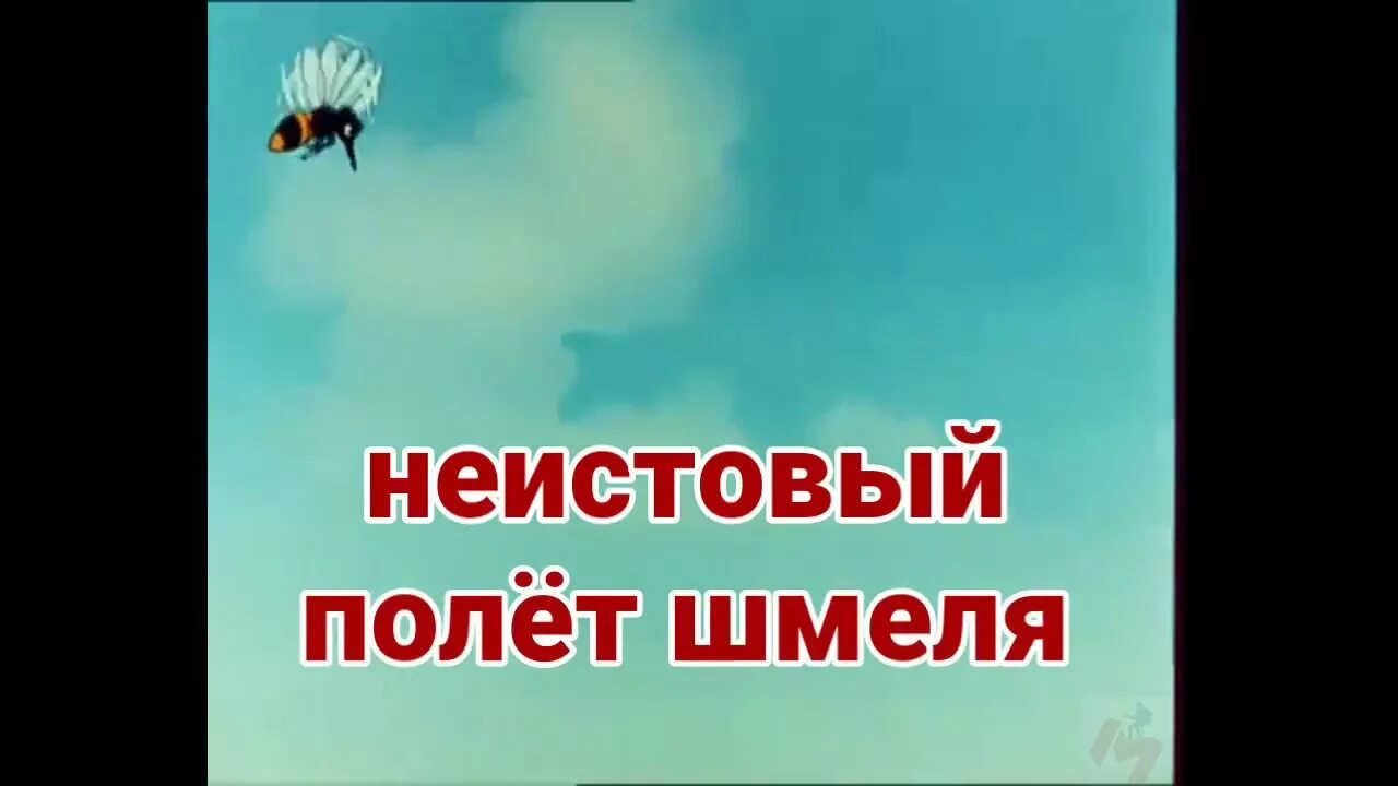 Послушать полет шмеля. Полет шмеля. танец полёт шмеля. полет шмеля обложка. полёт шмеля прикол.