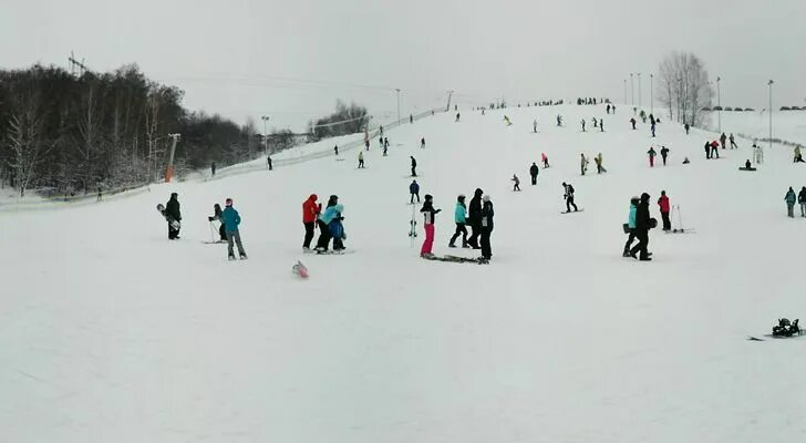 Гвоздовий. Гвоздов. Гвоздов. Гвоздов. Гвоздов.