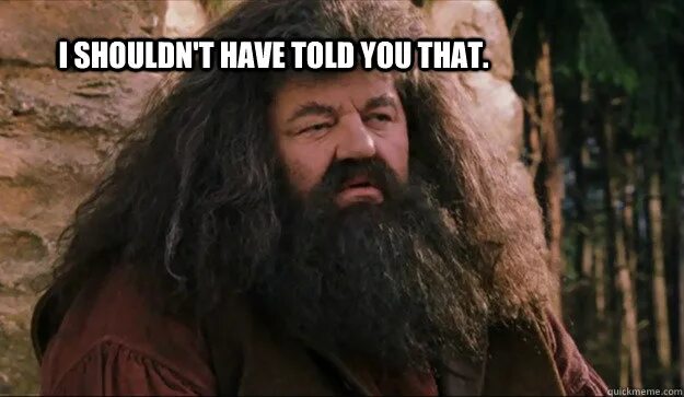 Shouldn t have been. Широкий хагрид мем. Should shouldn't. Правило should shouldn't 5 класс. Should have must have might have.